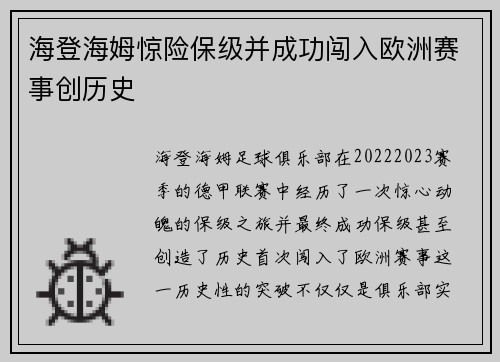 海登海姆惊险保级并成功闯入欧洲赛事创历史 海登海姆惊险保级并成功闯入欧洲赛事创历史